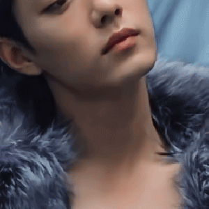 fashion.gif