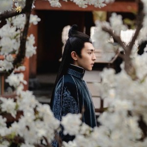blossom.jpg